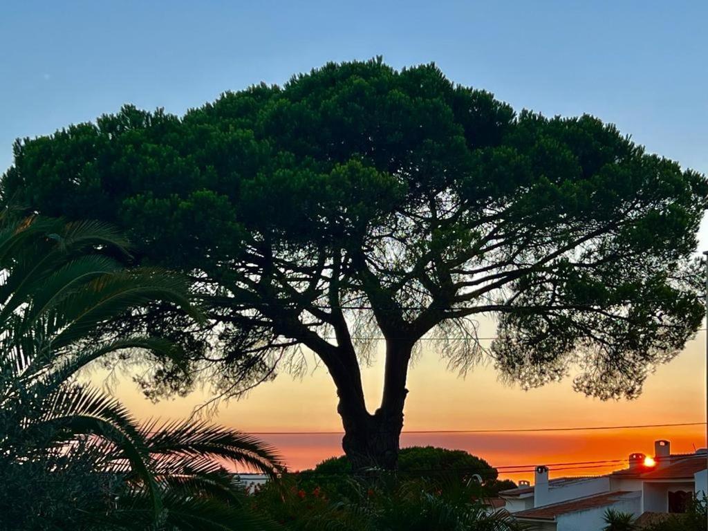 Vila De Sol Sesimbra Exteriör bild