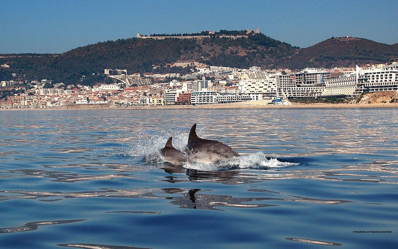 Vila De Sol Sesimbra Exteriör bild